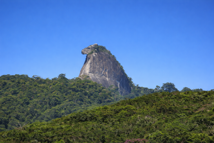 Pico do Papagaio