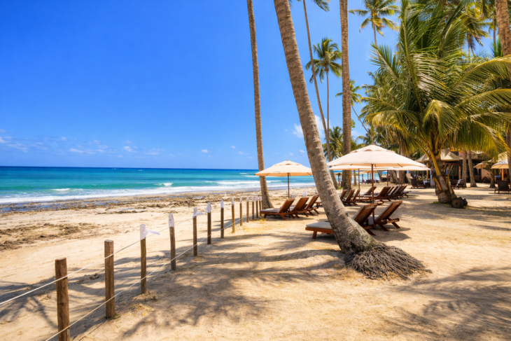 Coqueirais à beira mar