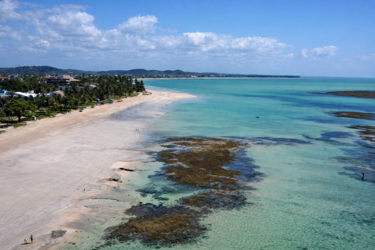 Corais na Praia de Campas