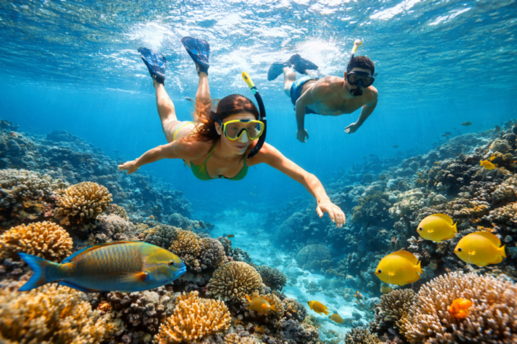 Mergulho e Snorkeling