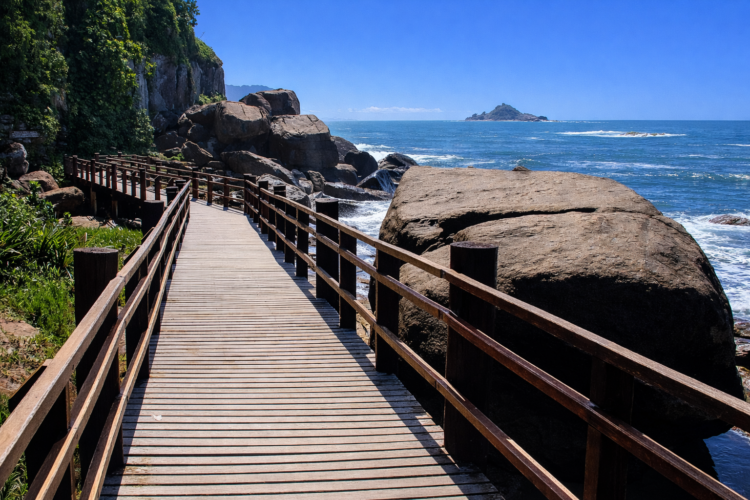 Passarela do Anchieta