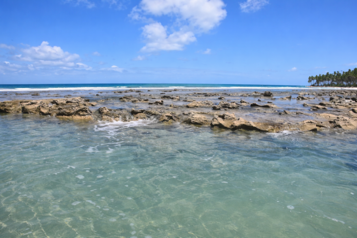 Piscinas Naturais - Aquários a Céu Aberto