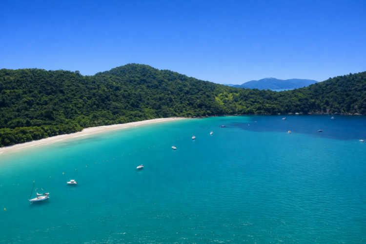 Praia das Palmas