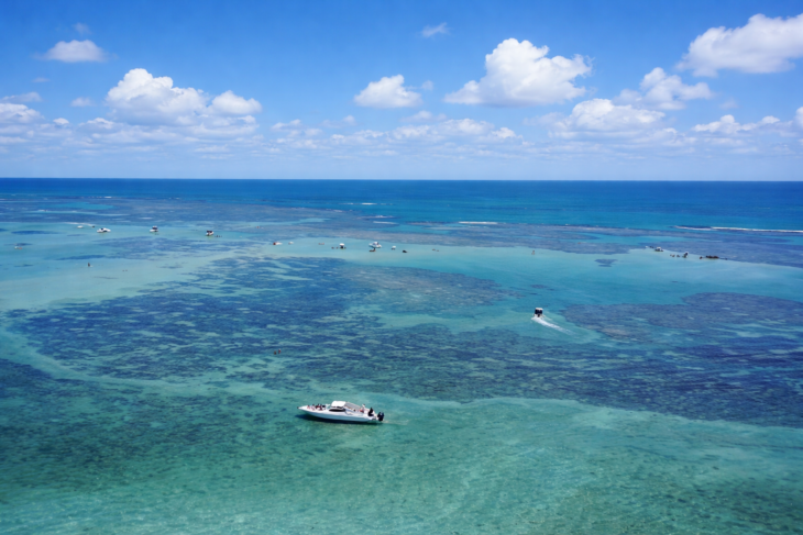 O lindo verde esmeralda do mar de Carneiros