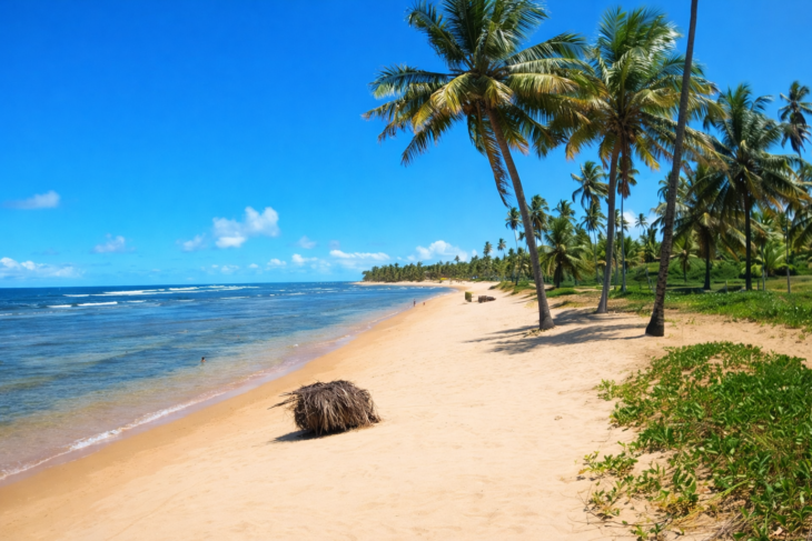 Mar cristalino, areia clara e uma extensa faixa de coqueiros na Praia do Forte