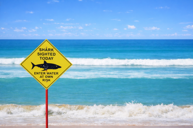 Praia com alerta de ataques de tubarão
