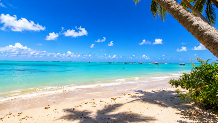 Praia do Xaréu